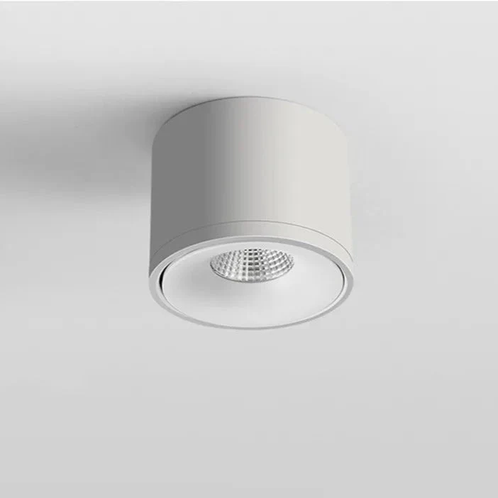 Verstelbare plafondspot met 360° draaibare spotkop zwart wit moderne opbouwverlichting voor woonkamer | Sansoti