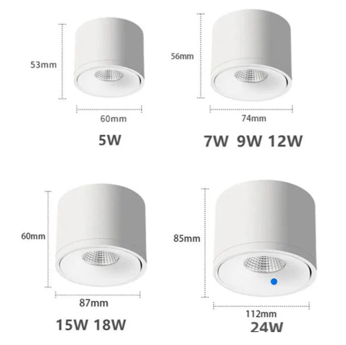 Verstelbare plafondspot met 360° draaibare spotkop zwart wit moderne opbouwverlichting voor woonkamer | Sansoti