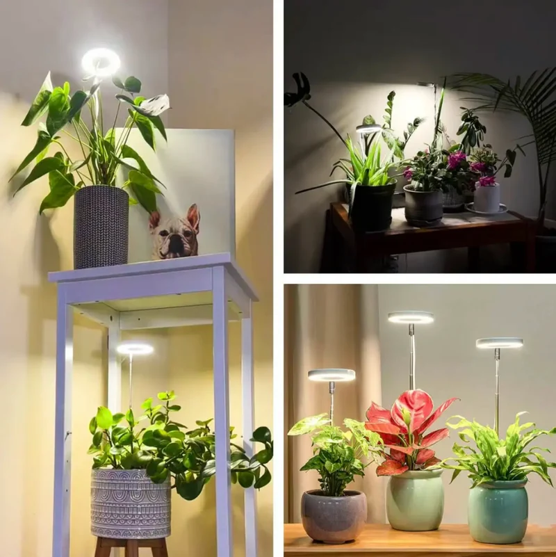 Verstelbare LED Groeilamp Volledig Spectrum met Zwanenhals voor Kamerplanten Binnen 20-65cm Plantverlichting | Sansoti
