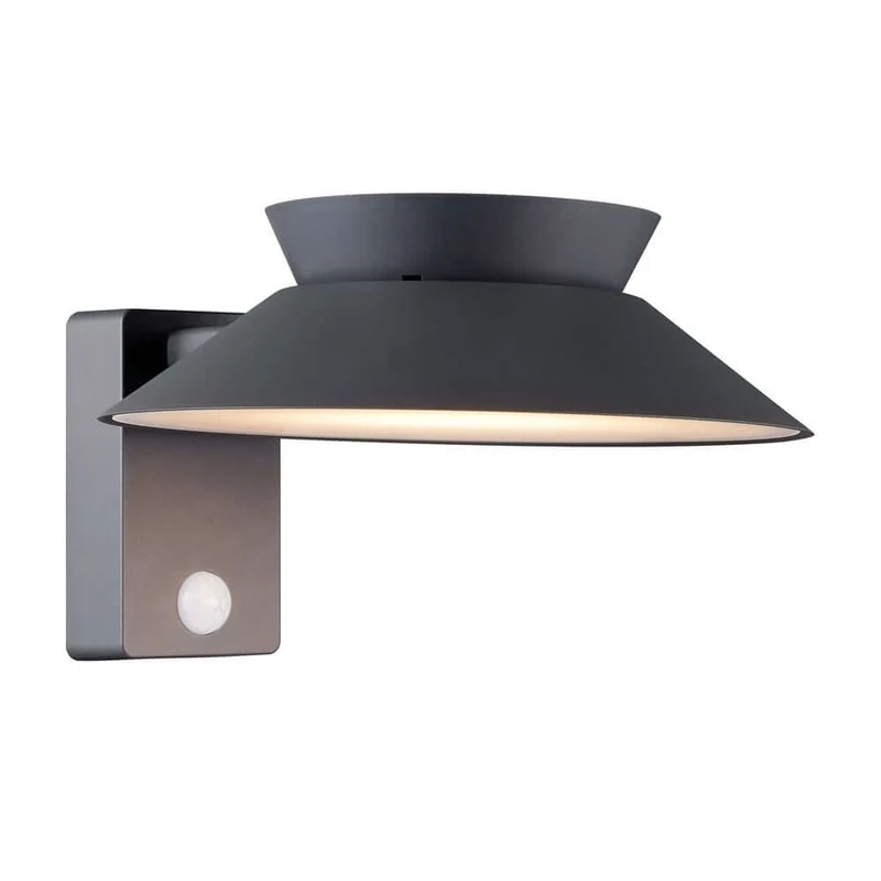 LED Außenwandlampe Justina Solar IP44