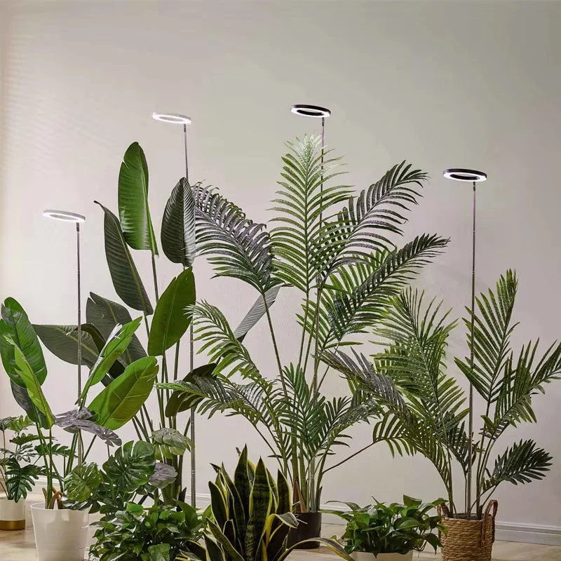 Verstelbare LED Groeilamp met Telescoopstandaard Automatische Timer Spectrum voor Sterke Kamerplanten | Sansoti
