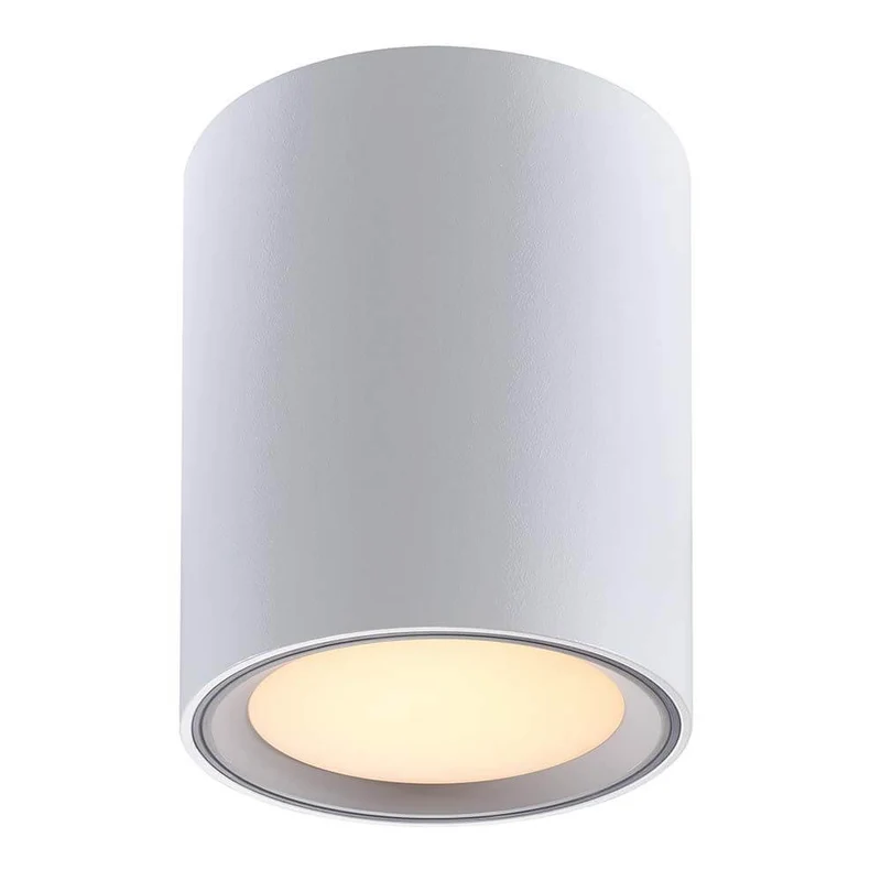 LED Deckenlampe Fallon Weiß, Gebürsteter Stahl