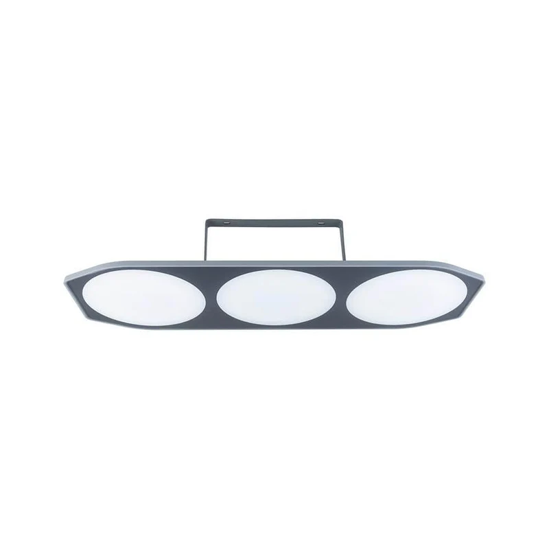 Park + Light LED Außen-Deckenleuchte Carport Anthrazit IP44