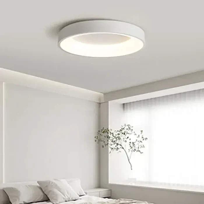 Ronde LED Plafondlamp Scandinavisch Design Wit Grijs Woonkamer Slaapkamer Gang Energiezuinig 30-60cm | Sansoti