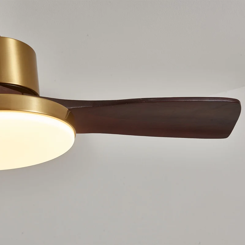 Moderne Plafondventilator met Verlichting – Houten Bladen & Afstandsbediening | Sansoti
