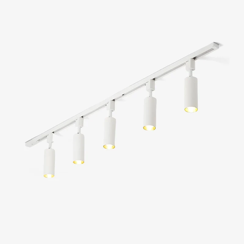 Cilinder Trackspot – Gericht Accentlicht met 30° Focus | Sansoti