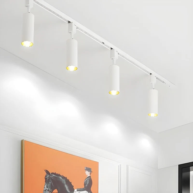 Cilinder Trackspot – Gericht Accentlicht met 30° Focus | Sansoti