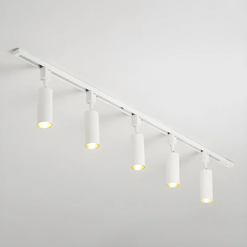 Cilinder Trackspot – Gericht Accentlicht met 30° Focus | Sansoti