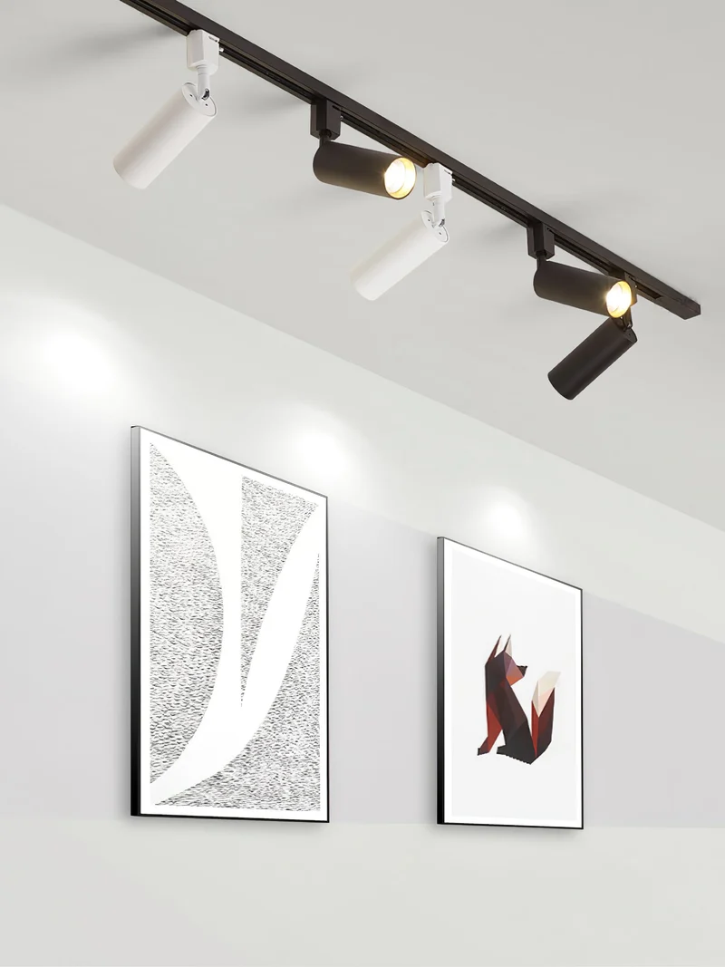 Cilinder Trackspot – Gericht Accentlicht met 30° Focus | Sansoti