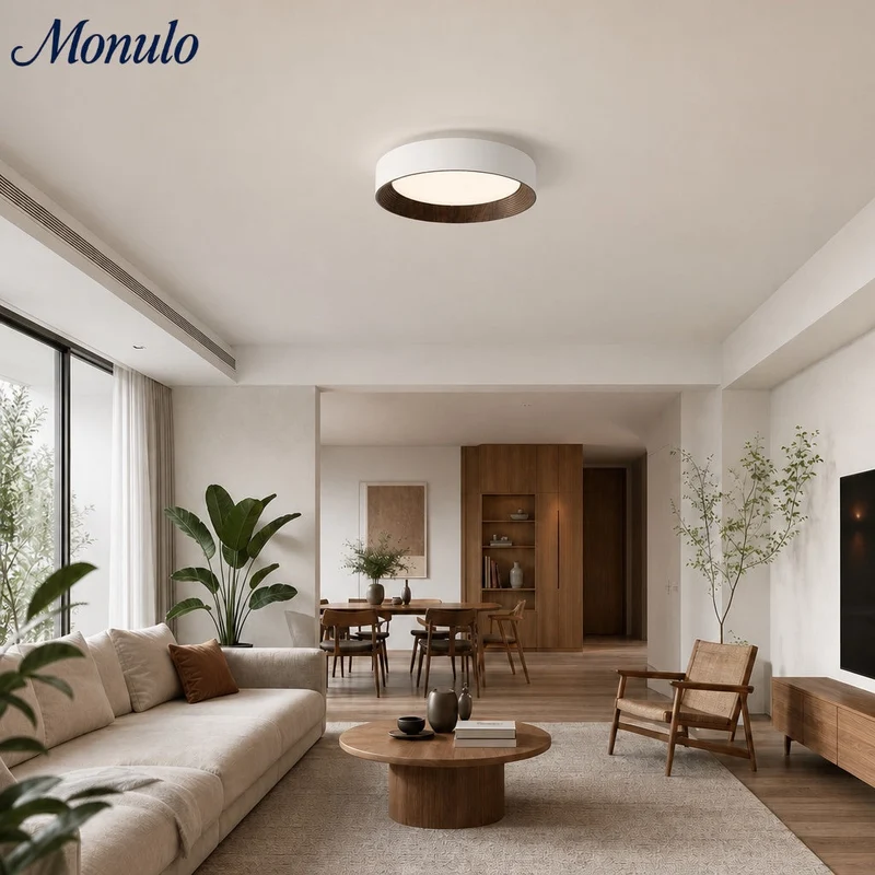 Minimalistische Plafondlamp Rond Laagbouw Slaapkamer Plafondverlichting LED | Sansoti