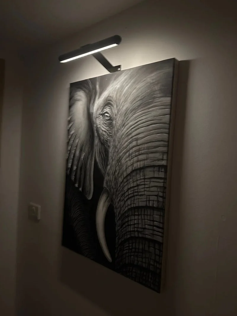 Draadloze LED Schilderijverlichting Zwart Wit Goud Dimbaar Verstelbaar USB Oplaadbaar | Sansoti