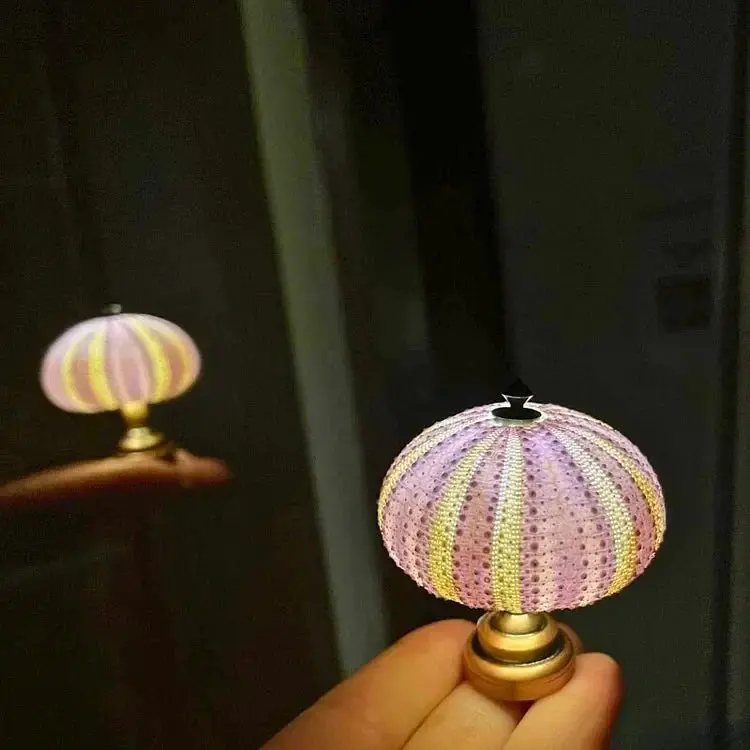 Zee-Egel Nachtlamp met Natuurlijke Schelpvorm en Warm Licht | Sansoti