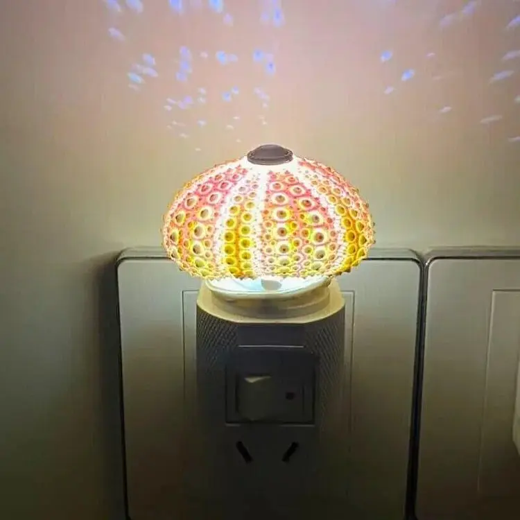 Zee-Egel Nachtlamp met Natuurlijke Schelpvorm en Warm Licht | Sansoti