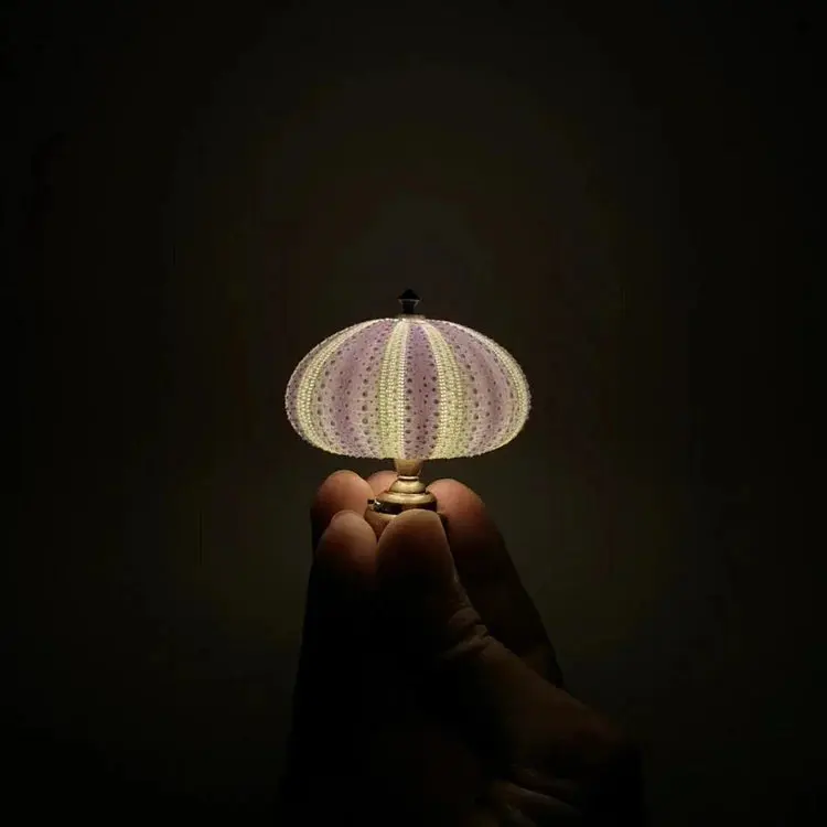 Zee-Egel Nachtlamp met Natuurlijke Schelpvorm en Warm Licht | Sansoti