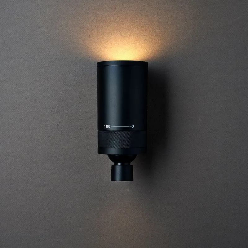 DCWéditions LED-Wandleuchte Vision 20/20 Omni 2-flammig Schwarz