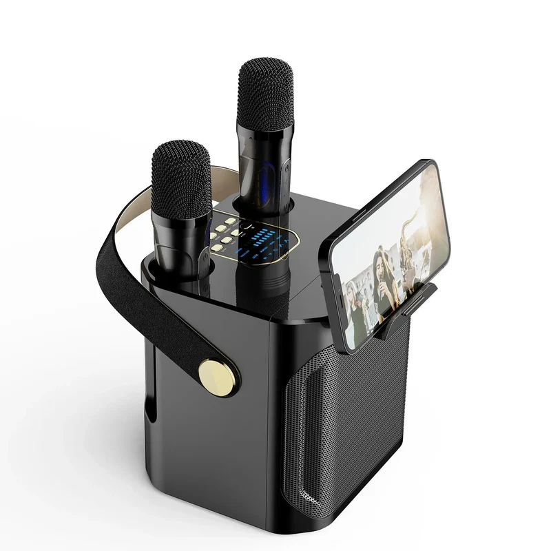 Karaoke Bluetooth Luidspreker Met 2 Microfoons 360° Stereo Surround | Sansoti