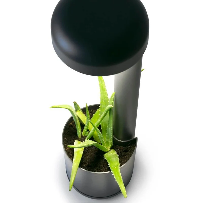 LED Wegeleuchte GROW 50cm 10W IP65 Dunkelgrau