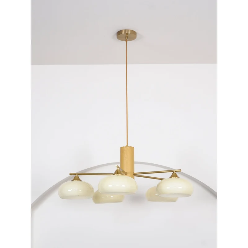 Ovale Design Kroonluchter Met Glazen Kappen En Messing Details Voor Woonkamer En Eetkamer | Sansoti