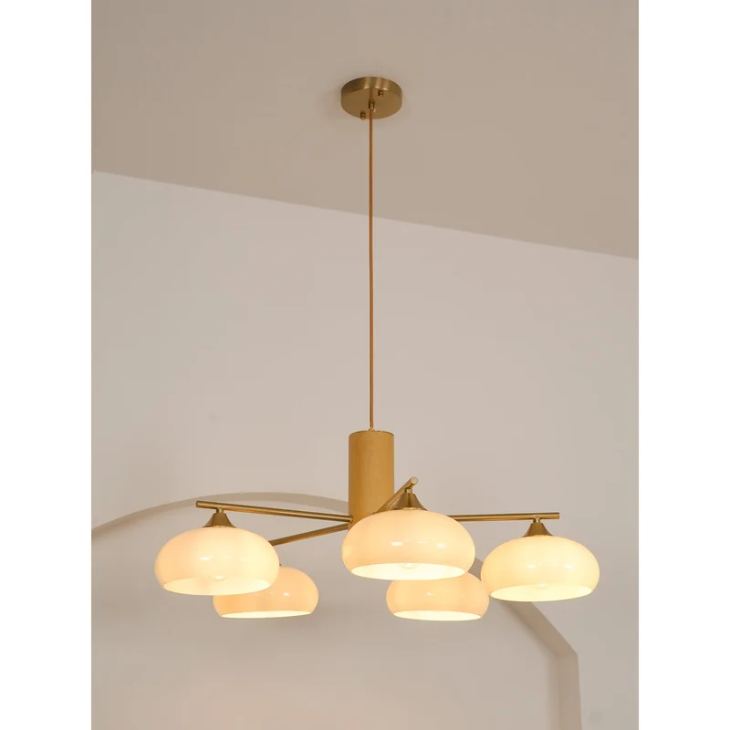 Ovale Design Kroonluchter Met Glazen Kappen En Messing Details Voor Woonkamer En Eetkamer | Sansoti