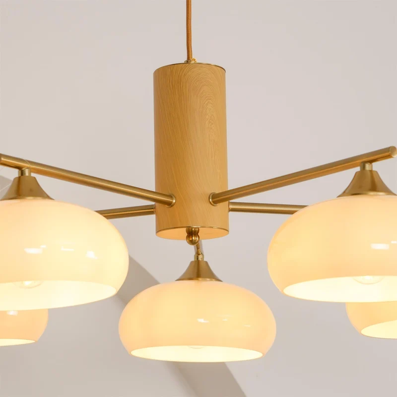 Ovale Design Kroonluchter Met Glazen Kappen En Messing Details Voor Woonkamer En Eetkamer | Sansoti