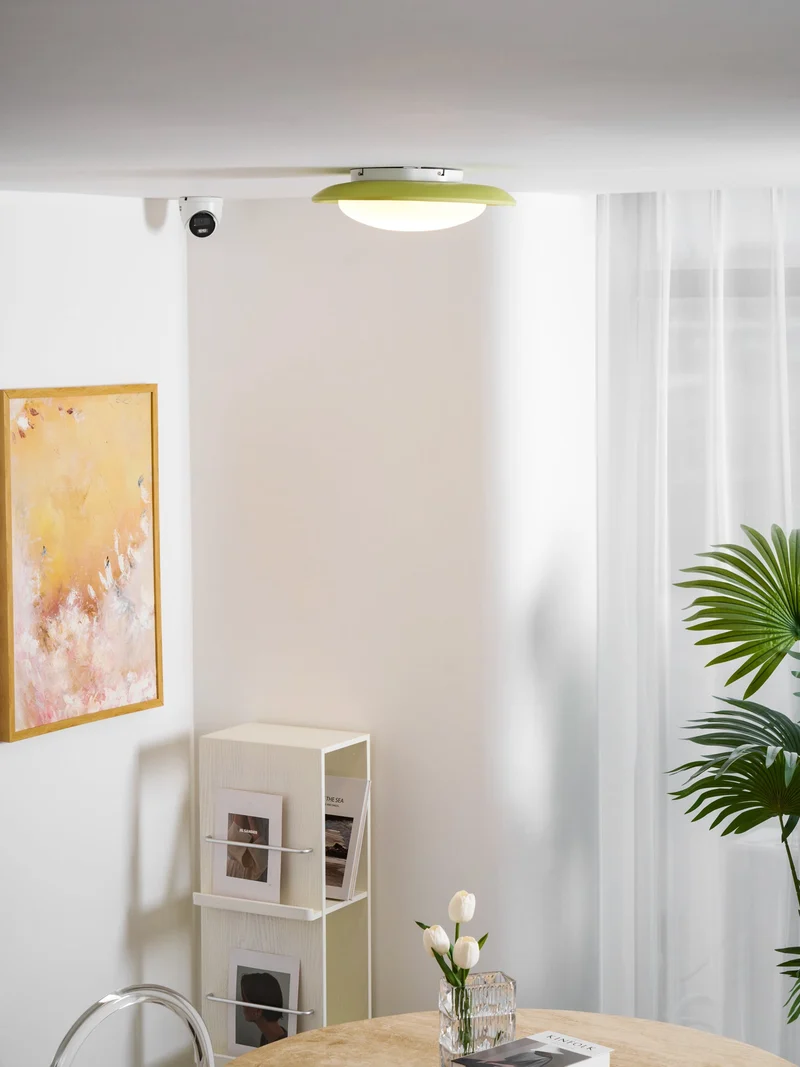 Plafondlamp Resin Ovaal Groen Beige Woonkamer Slaapkamer LED 3000K 4000K 6000K Ø36 Ø46cm Organisch Plafonnière Dimbaar | Sansoti