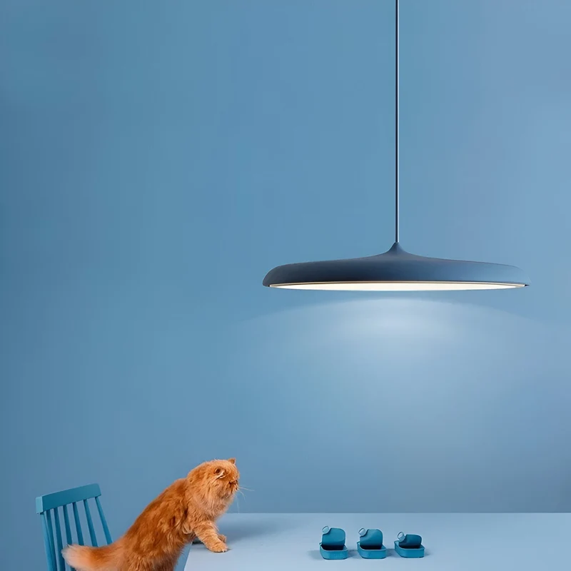 Hanglamp Schotel Design LED 4000K Nordic Modern Ø25 Ø40 | Sansoti