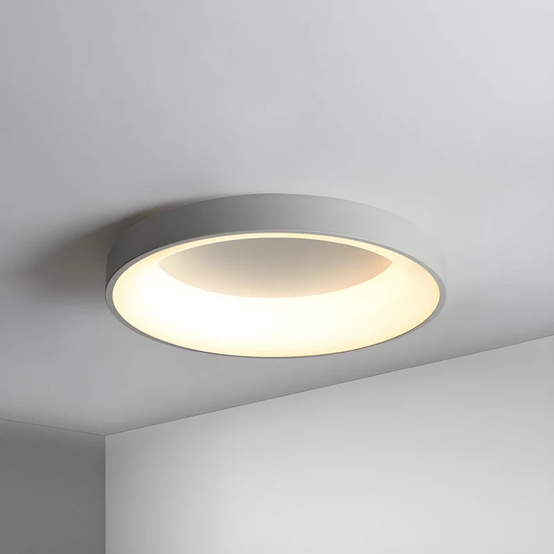 LED plafondlamp rond acryl ijzer lage ruimtes hal slaapkamer woonkamer moderne opbouwlamp minimalistische plafondverlichting | Sansoti